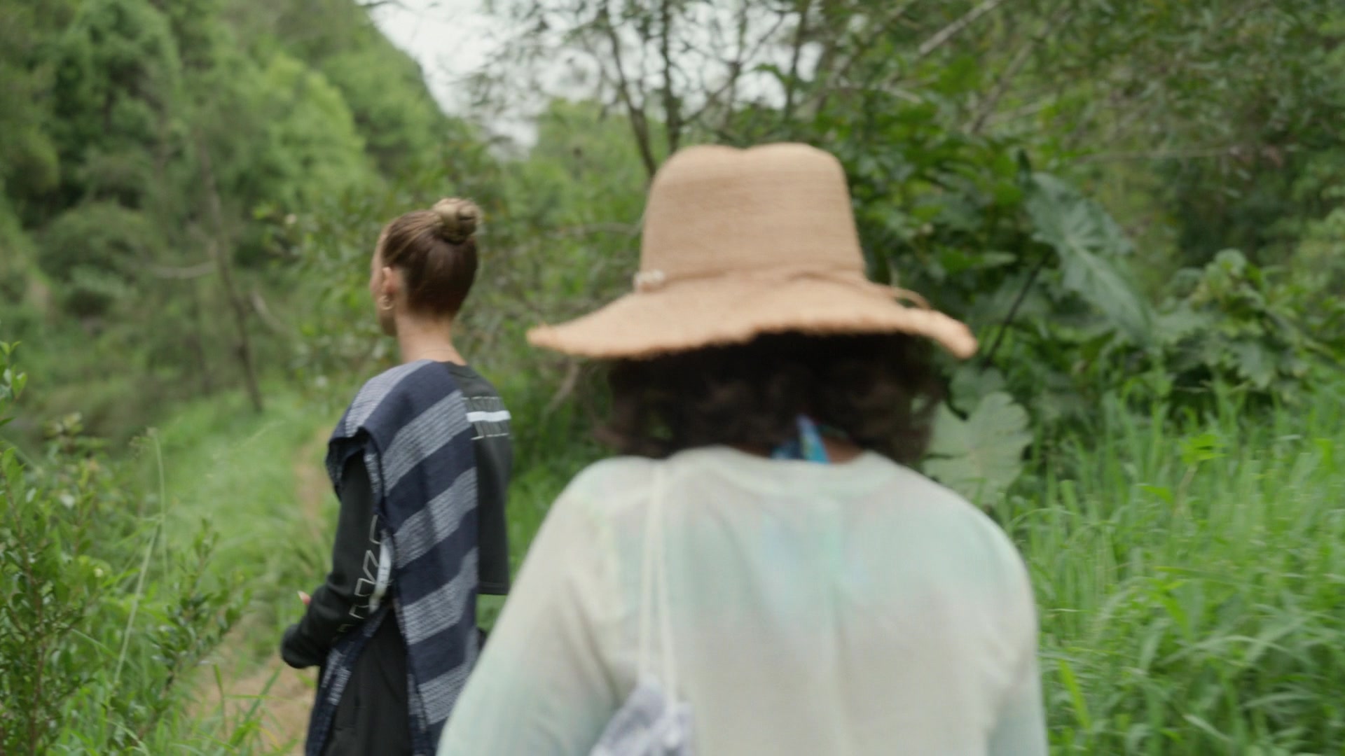 samaraweavingcom_nineperfectstrangers_365.jpg samaraweavingcom_nineperfectstrangers_365.jpg