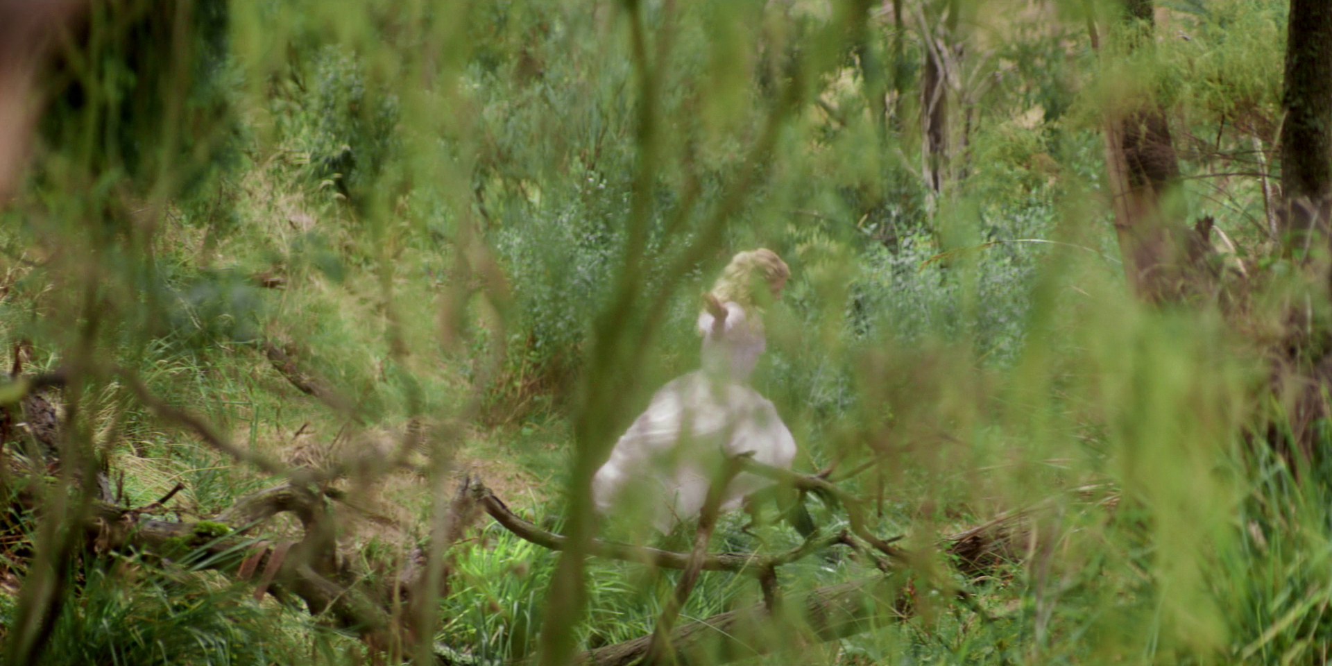 samaraweaving_picnicathangingrock_0419.jpg samaraweaving_picnicathangingrock_0419.jpg