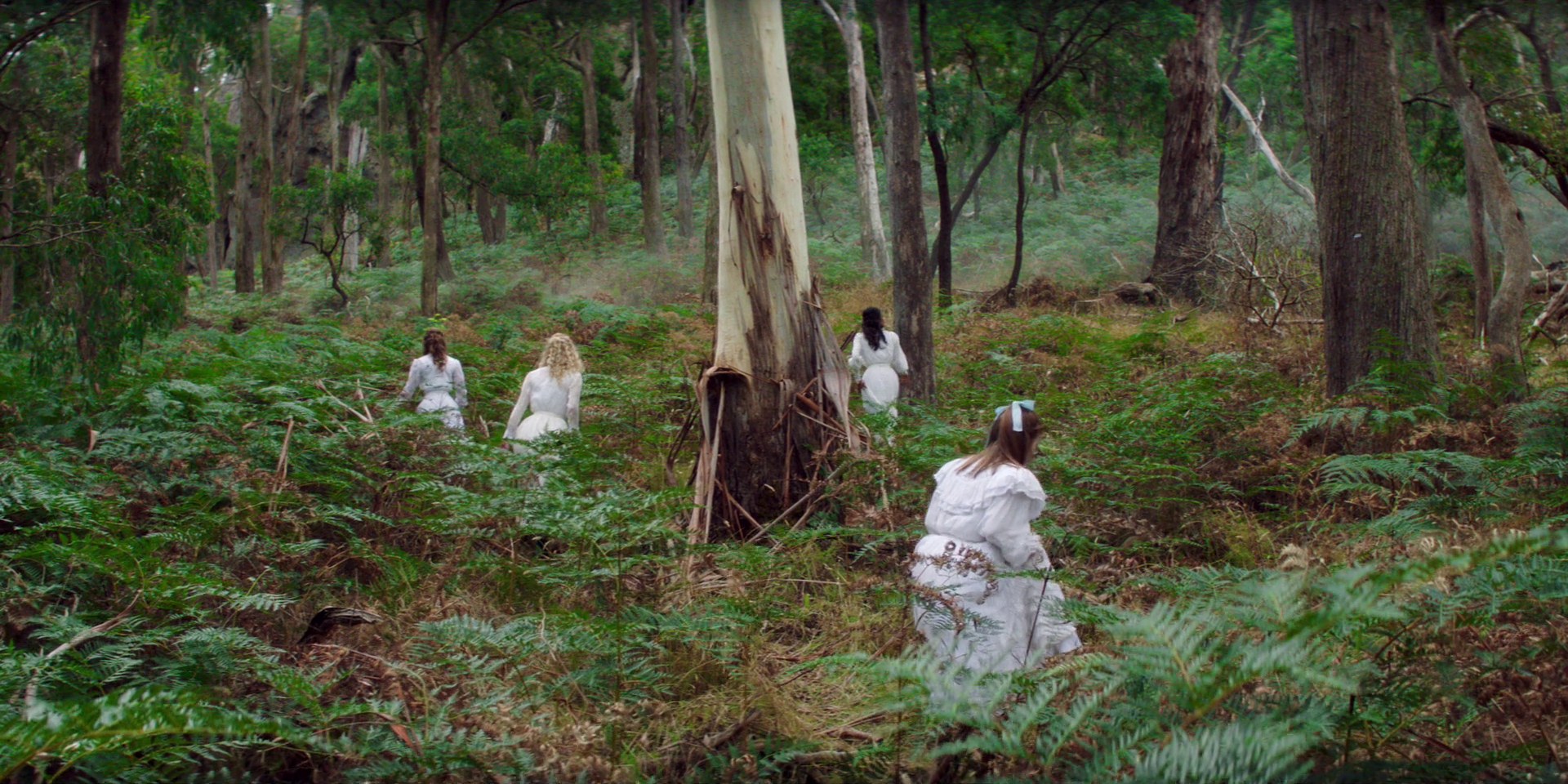 samaraweaving_picnicathangingrock_0459.jpg samaraweaving_picnicathangingrock_0459.jpg