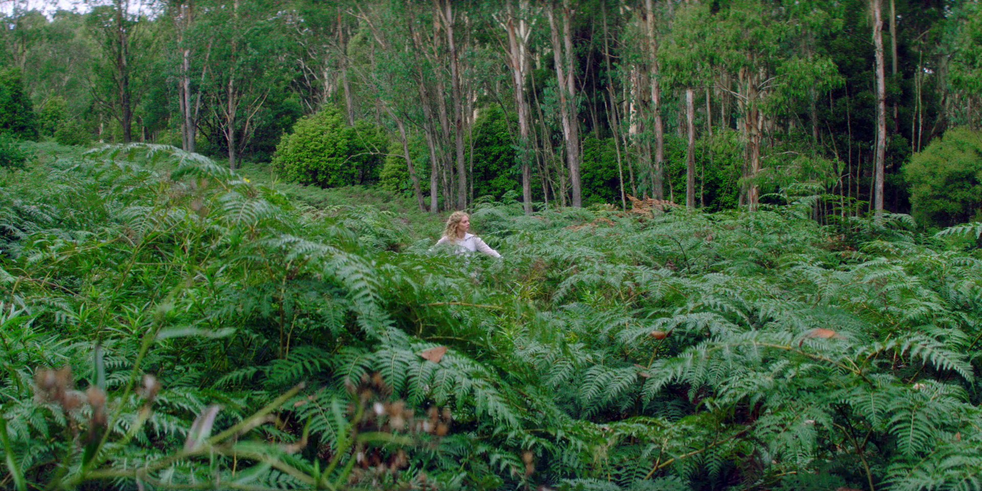 samaraweaving_picnicathangingrock_0085.jpg samaraweaving_picnicathangingrock_0085.jpg