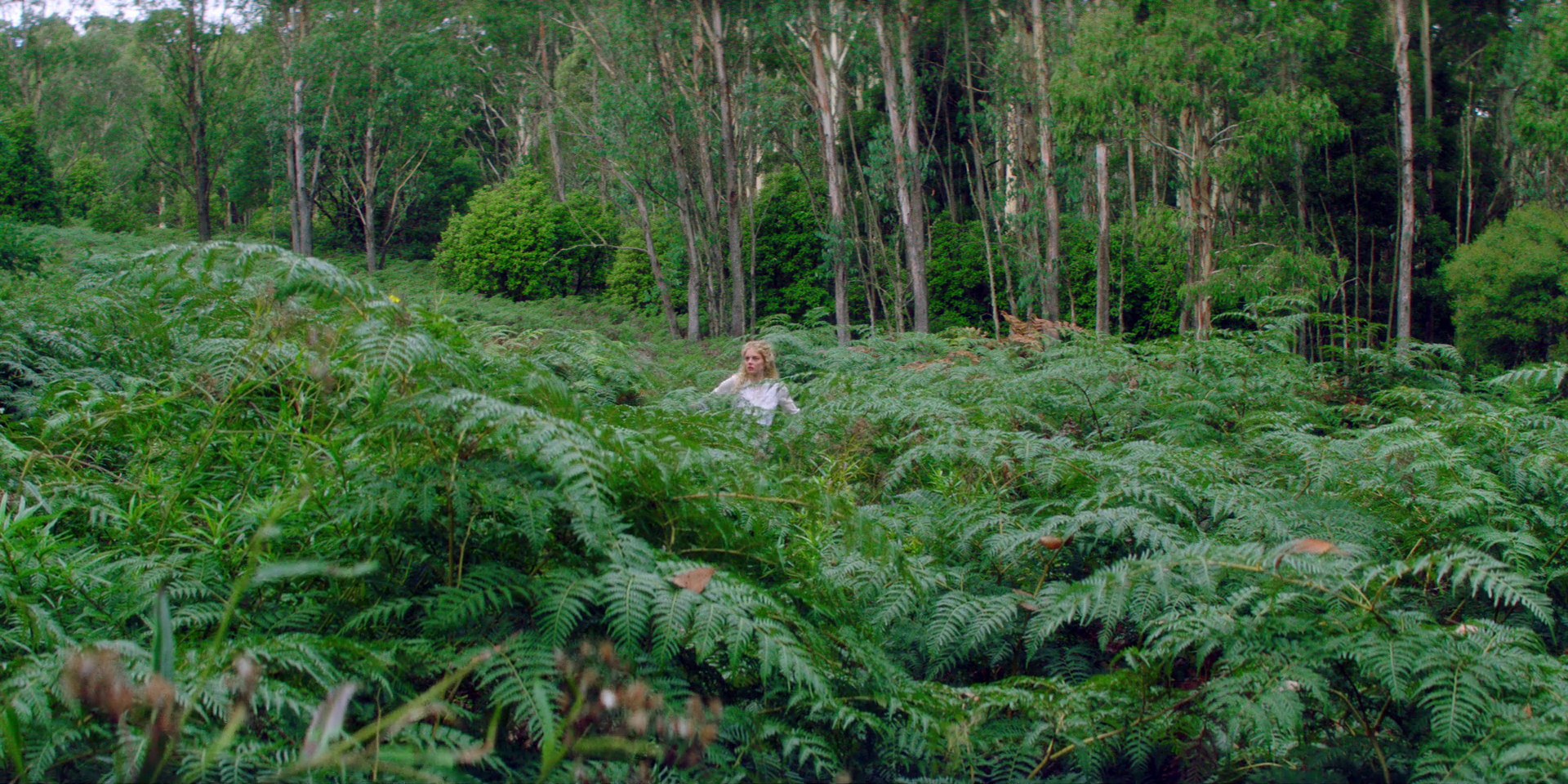 samaraweaving_picnicathangingrock_0087.jpg samaraweaving_picnicathangingrock_0087.jpg