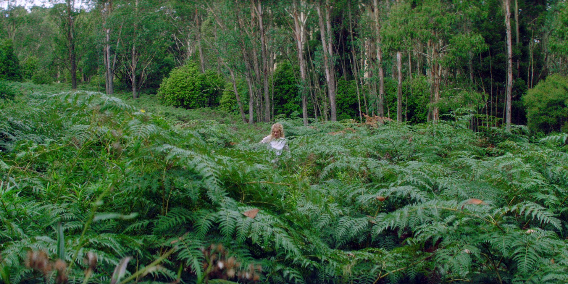 samaraweaving_picnicathangingrock_0088.jpg samaraweaving_picnicathangingrock_0088.jpg