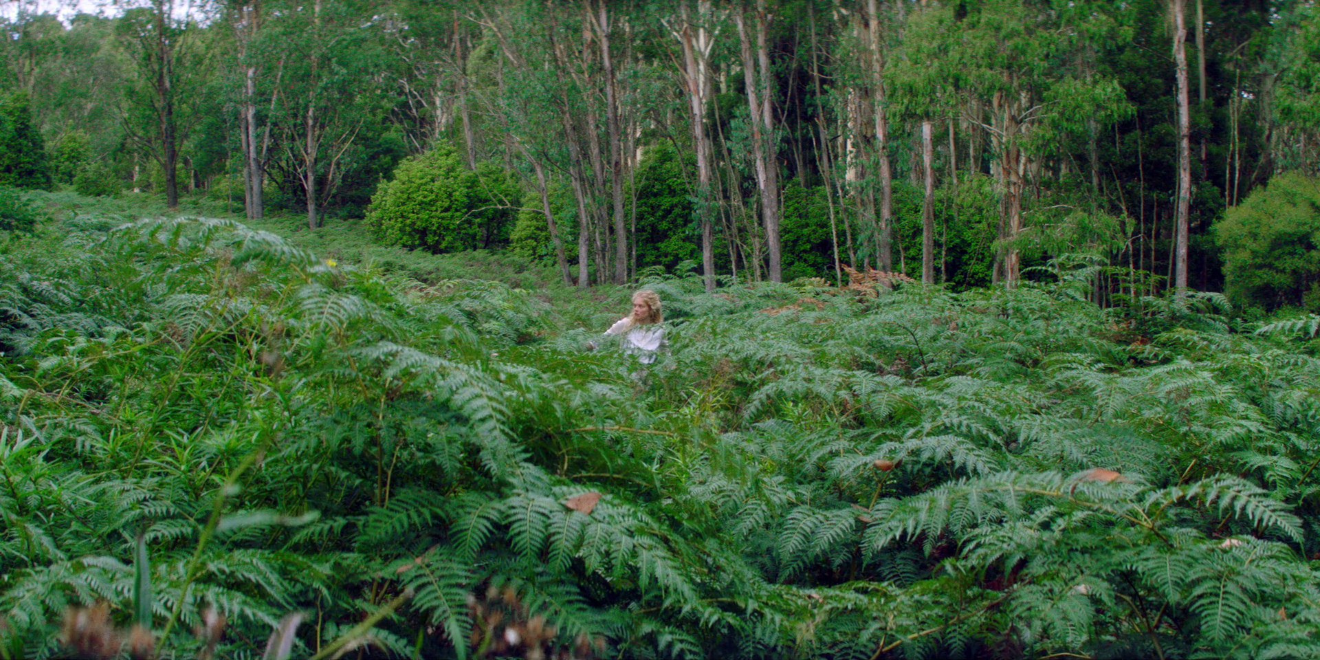 samaraweaving_picnicathangingrock_0089.jpg samaraweaving_picnicathangingrock_0089.jpg