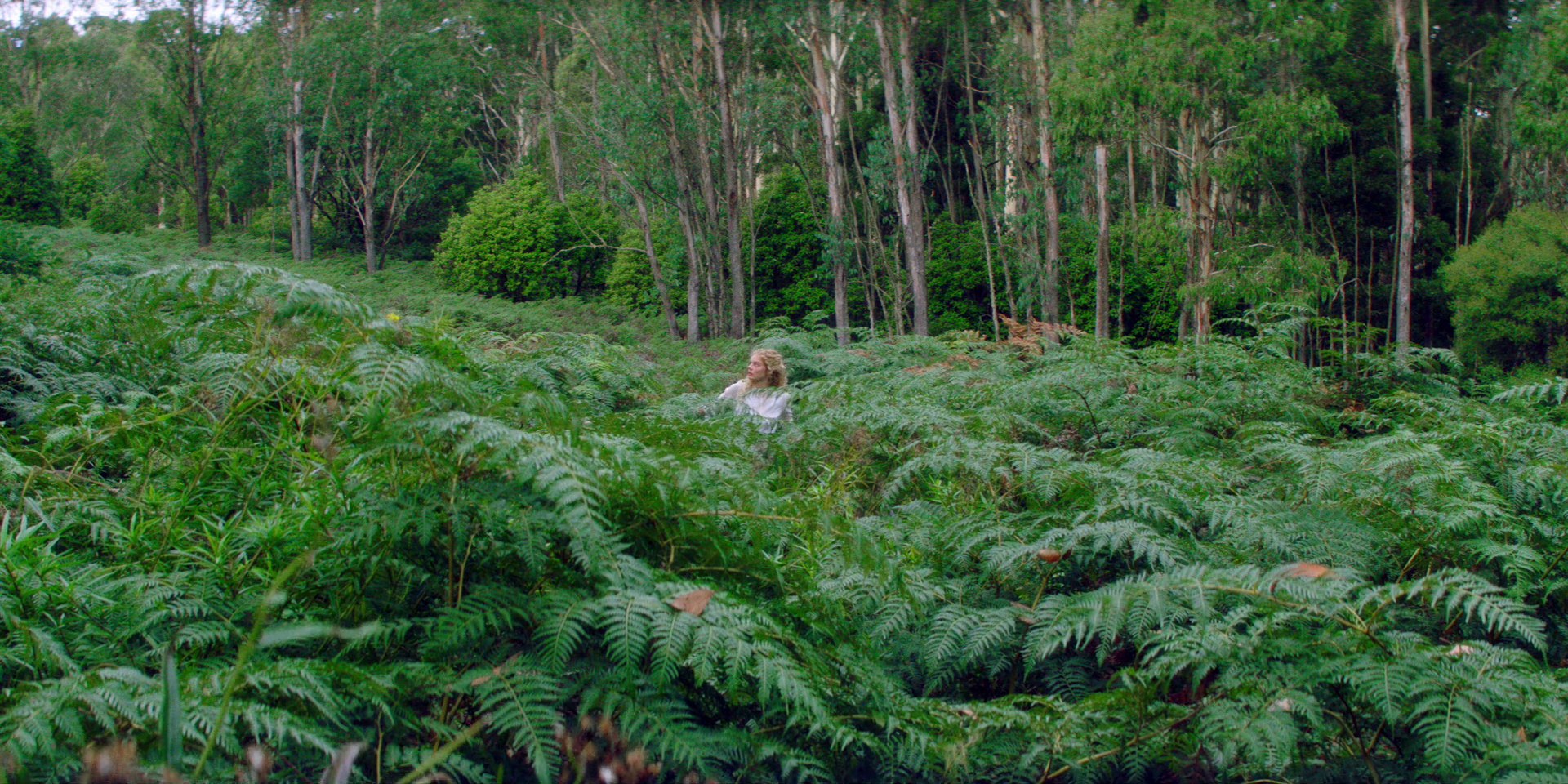 samaraweaving_picnicathangingrock_0090.jpg samaraweaving_picnicathangingrock_0090.jpg