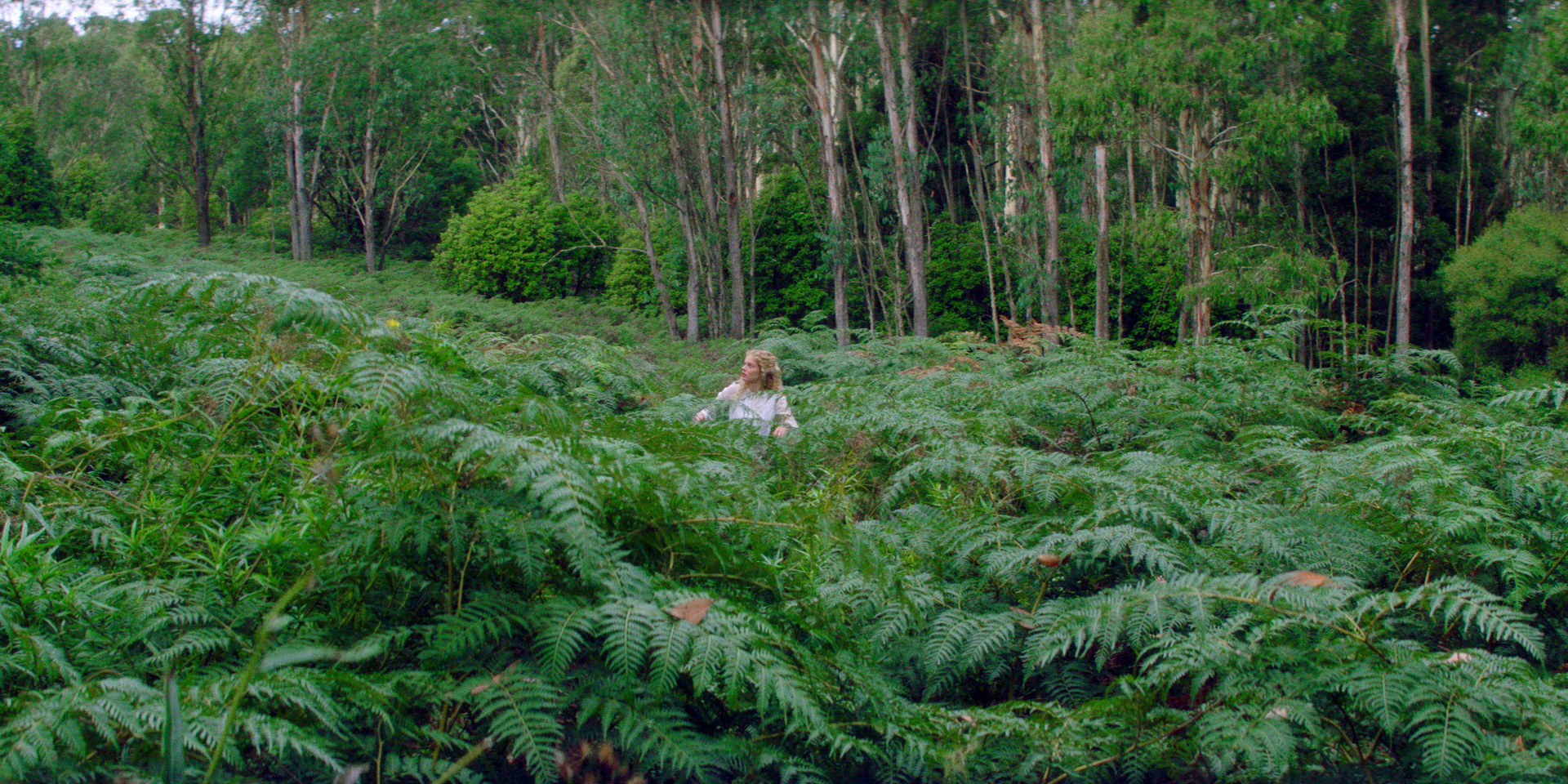 samaraweaving_picnicathangingrock_0091.jpg samaraweaving_picnicathangingrock_0091.jpg