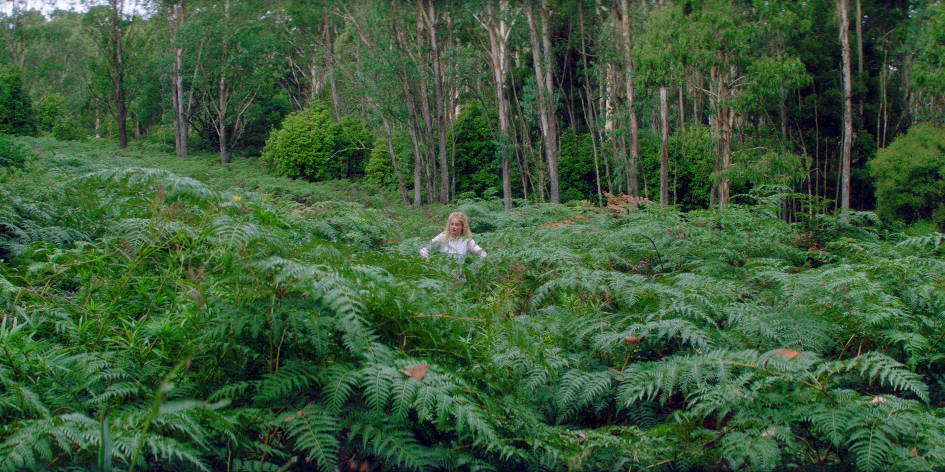 samaraweaving_picnicathangingrock_0092.jpg samaraweaving_picnicathangingrock_0092.jpg