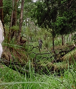 Filename=samaraweaving_picnicathangingrock_0129.jpg
Filesize=508KiB
Dimensions=1920x960
Date added=Nov 19, 2018 samaraweaving_picnicathangingrock_0129.jpg