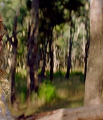 Filename=samaraweaving_picnicathangingrock_0168.jpg
Filesize=250KiB
Dimensions=1920x960
Date added=Nov 19, 2018 samaraweaving_picnicathangingrock_0168.jpg